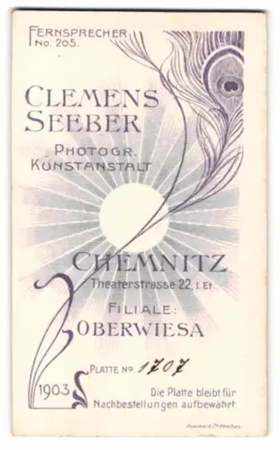 Fotografie Clemens Seeber, Chemnitz, Theaterstrasse 22, Strahlende Sonne hinter einer Pfauenfeder