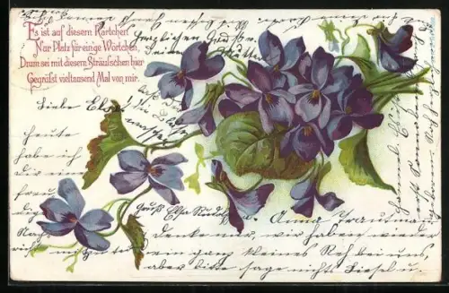AK Ein Strauss Veilchen, Es ist auf diesem Kärtchen nur Platz für einige Wörtchen...