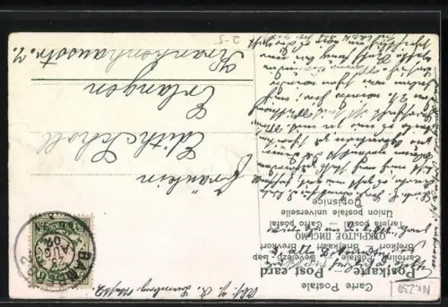 Präge-AK Schwalbe sitzt auf einem Rosenzweig, eine andere Schwalbe bringt einen Brief, Briefschreiben kostet viele...