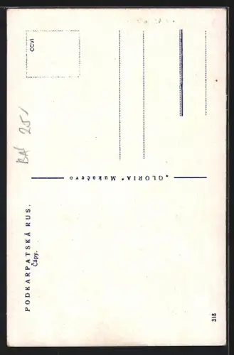 AK Gólyák /Kárpátalja, Capy