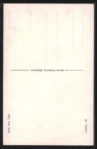 AK Gólyák /Kárpátalja, Capi