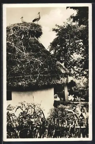 AK Podk. Rus. Capi, Blick auf ein Wohnhaus