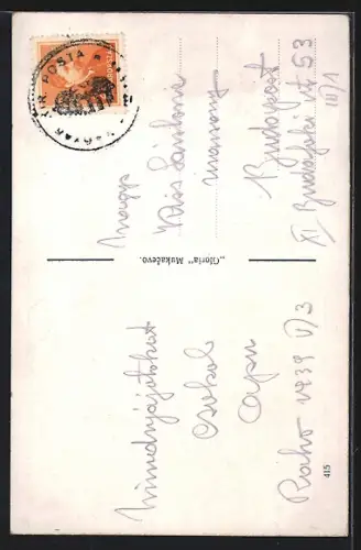 AK Rachov, Celkový pohled