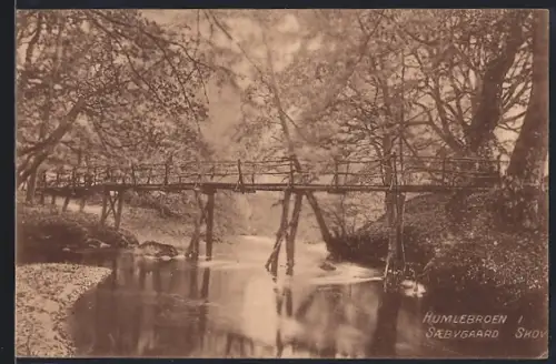 AK Saebygaard, Humlebroen, Skov