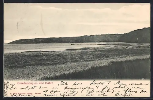 AK Ornedalsbugten ved Hobro, Panorama