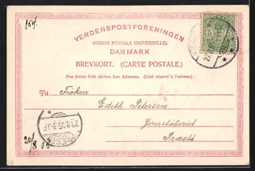 AK Himmelbjerget, Ortsansicht mit Turm