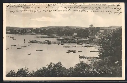 AK Faaborg, Parti fra Dyreborg