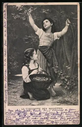 AK La Cueillette des Noisettes