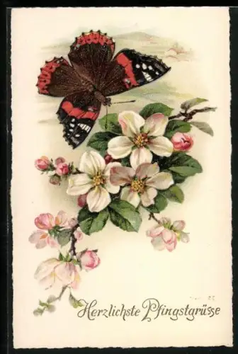AK Schmetterling beim Anflug auf Blüten