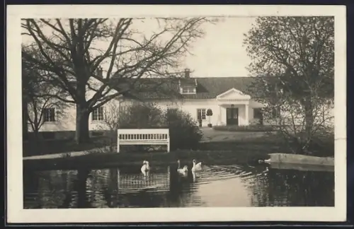 AK Fredrikstad, Panorama