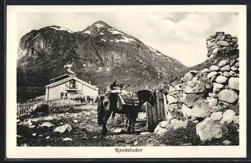 AK Gjendeboden, Panorama