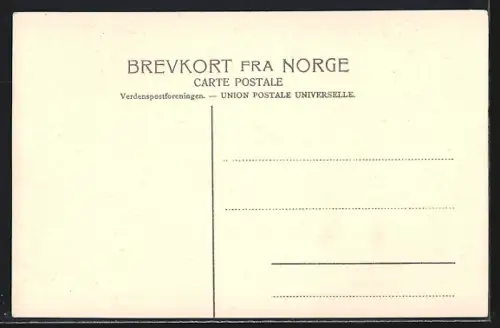 AK Gaustafjeld /Telemarken, Panorama