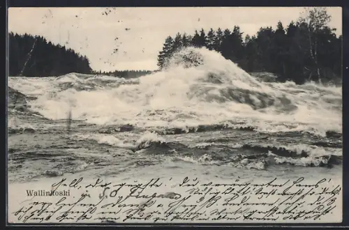 AK Wallinkoski, Panorama