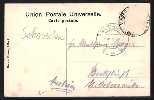AK Wiipuri, Linna