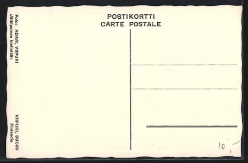 AK Viipuri, Panorama