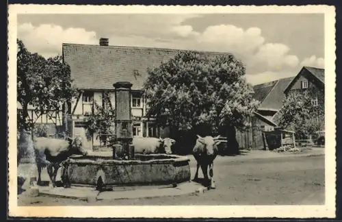 AK Rehe /Oberwesterwald, Dorfbrunnen, Fachwerkhäuser, Rinder