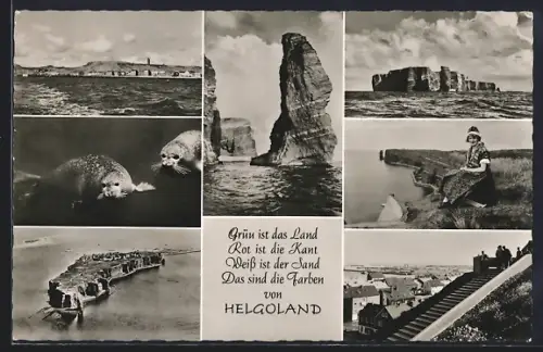 AK Helgoland, Lange Anna, Klippen, Seehunde, Ortsansichten