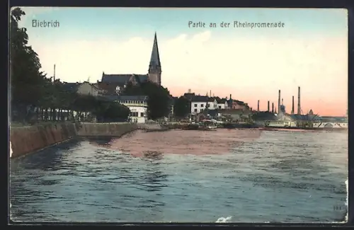 AK Biebrich / Rhein, Partie an der Rheinpromenade