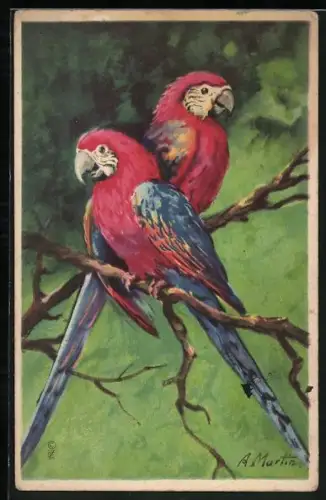 AK Papageien sitzen auf einem Ast