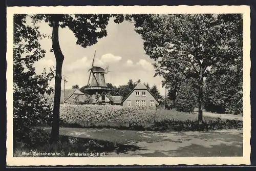 AK Bad Zwischenahn, Ammerlandlandschaft, Windmühle, Bauernhaus