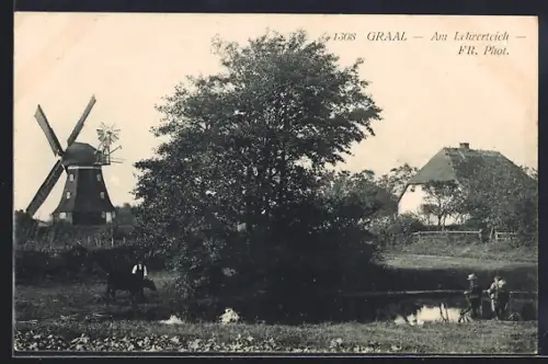 AK Graal, Am Lehrerteich, Windmühle, Bauernhaus