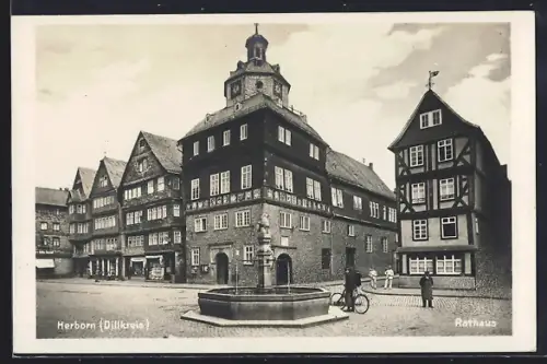 AK Herborn /Dillkreis, Rathaus, Brunnen, Fachwerkhäuser