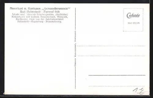 AK Bad Helmstedt, Kurhaus, Garten