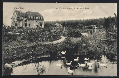 AK Walsrode, 58er Erholungsheim, Partie a. d. Park