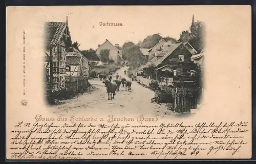 AK Schierke a. Brocken, Dorfstrasse
