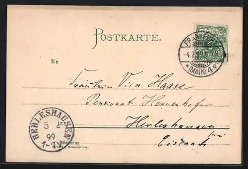 Lithographie Schaffhausen, Rheinfall, Brücke, Schloss