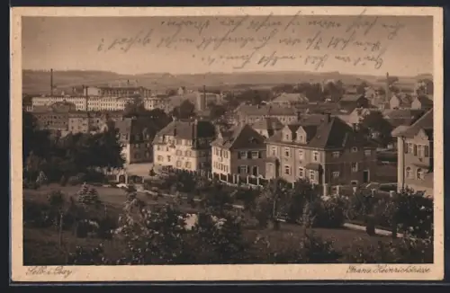 AK Selb i. Bay., Franz Heinrichstrasse