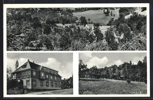 AK Winkel i. Odw., Gasthaus und Pension Zum Wiesengrunde, Inh. M. Bitsch, Landschaftsansichten