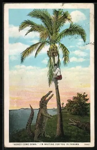 AK Panama, Krokodile und Geflüchteter auf einer Kokospalme, Karikatur