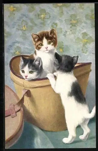 AK Drei süsse Katzen mit einer Hutschachtel
