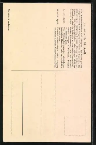 AK Sternzeichen Widder-Menschen, Geb. 21. März - 20. April