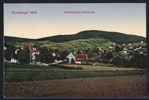 AK Holzhausen /Teutoburger Wald, Landschaftsansicht
