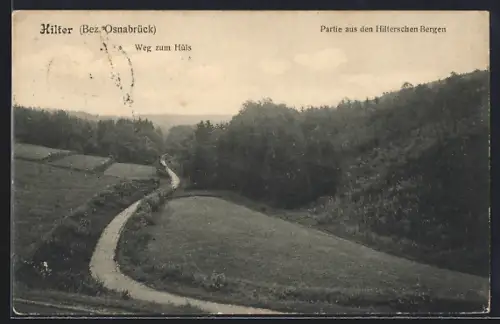 AK Hilter /Osnabrück, Weg zum Hüls, Partie aus den Hilterschen Bergen