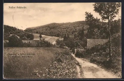 AK Dissen-Nolle / Teutoburger Wald, Gasthaus zur Noller Schlucht, Besitzer Fritz Meier, Landschaftsansicht