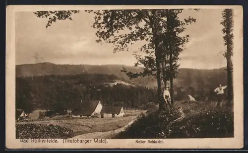 AK Bad Rothenfelde /Teutoburger Wald, Noller Schlucht