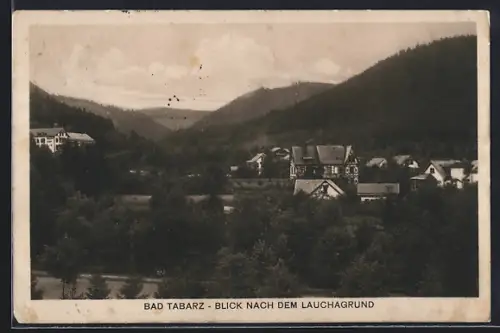 AK Bad Tabarz, Blick nach dem Lauchagrund