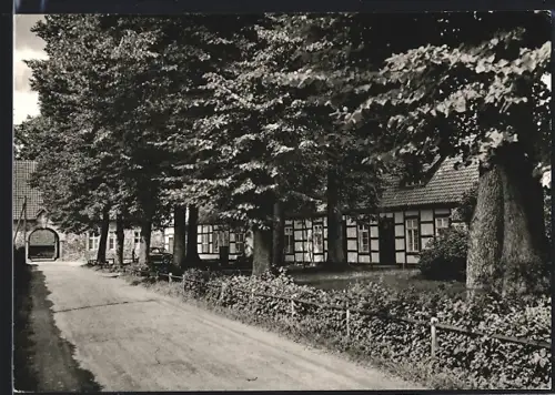 AK Malgarten b. Bramsche, Jugend- und Freizeitheim DJO, Fachwerkhäuser, Allee
