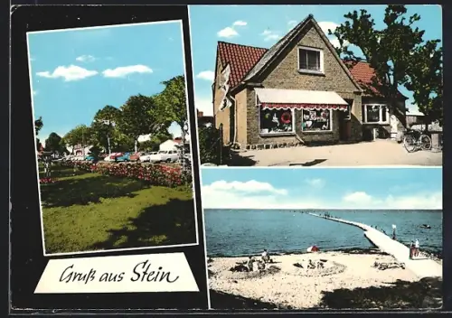 AK Stein / Ostseebad, Strand, Geschäft, Parkanlage, Ostseestrand
