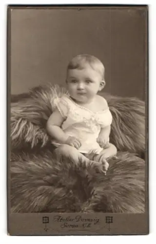 Fotografie Atelier Domzig, Sorau, Bahnhofstrasse 23, Porträt eines Kleinkinds