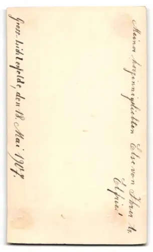 Fotografie Atelier Wertheim, Berlin, Leipzigerstr., Elfriede in kariertem Kleid