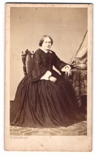 Fotografie F. Brandseph, Stuttgart, Vornehm gekleidete Dame im Atelier