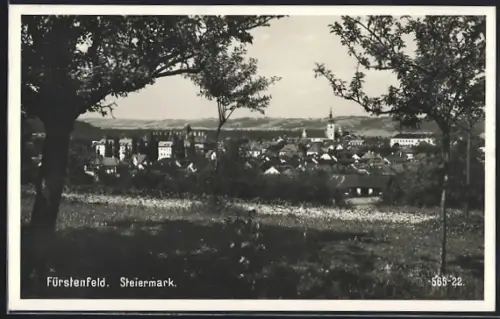 AK Fürstenfeld, Ortsansicht von einer Wiese aus