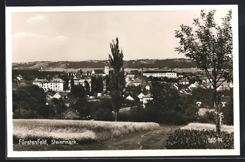 AK Fürstenfeld, Totalansicht von einem Feldweg aus