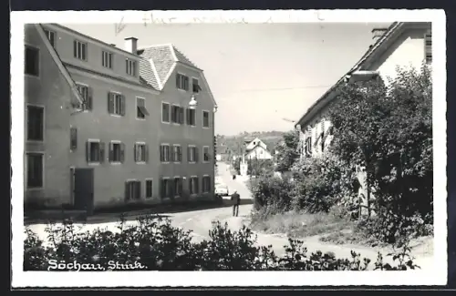 AK Söchau /Stmk., Strassenpartie im Sonnenschein
