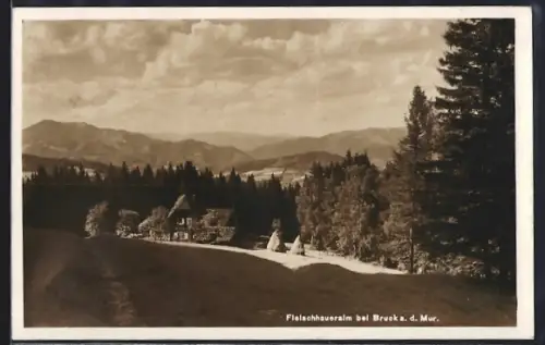 AK Bruck a. d. Mur, Fleischhaueralm mit Bergpanorama aus der Vogelschau