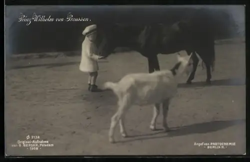 AK Prinz Wilhelm von Preussen mit Pferd & Ziege